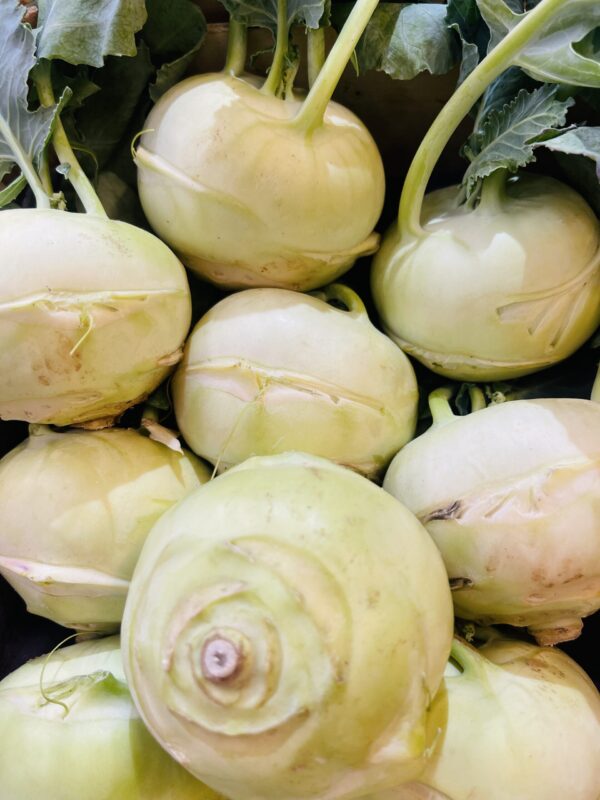 Kohlrabi