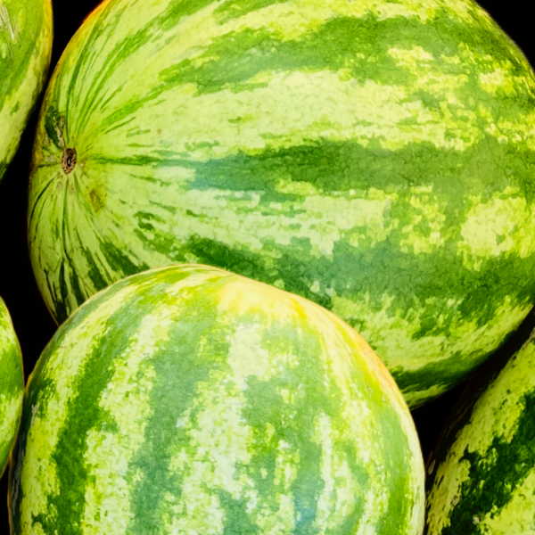 WaterMelon