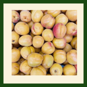 Fresh Apricots