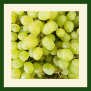 Fresh green grapes in a bunch with crisp skin and light green colour.