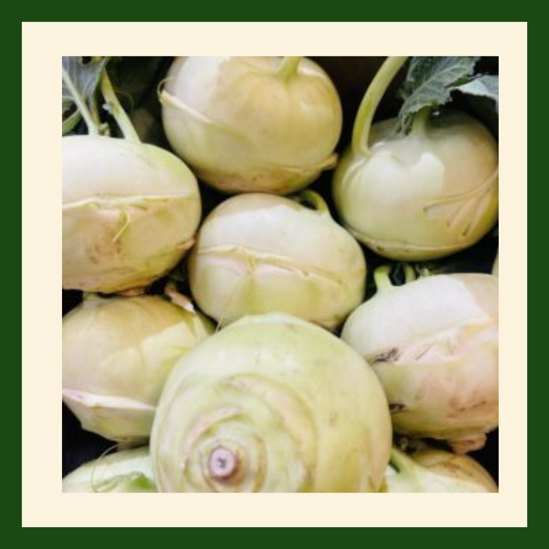Fresh Kohlrabi with crisp pale green bulb