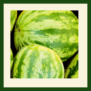 Watermelon