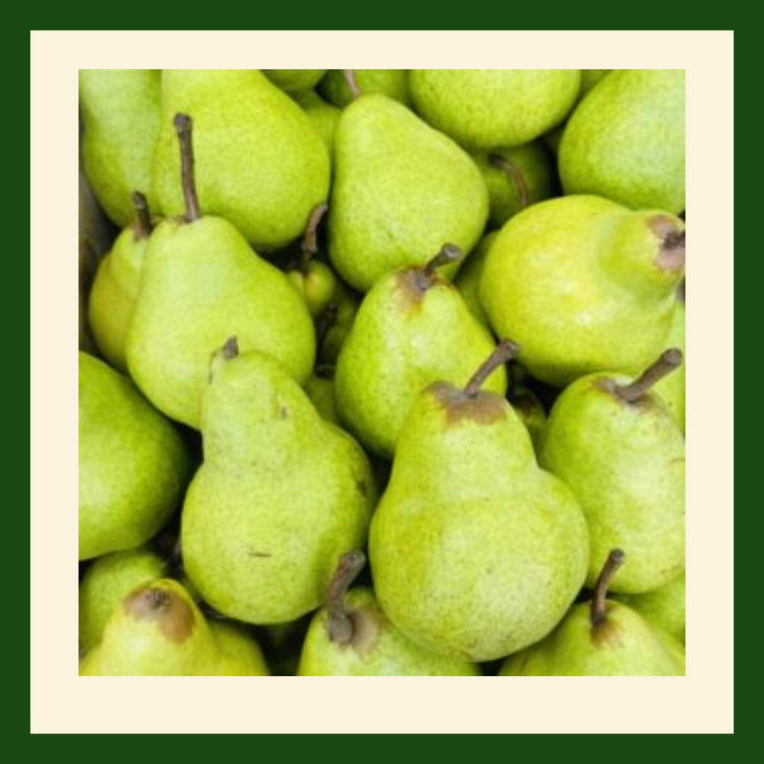 Fresh sweet William pears