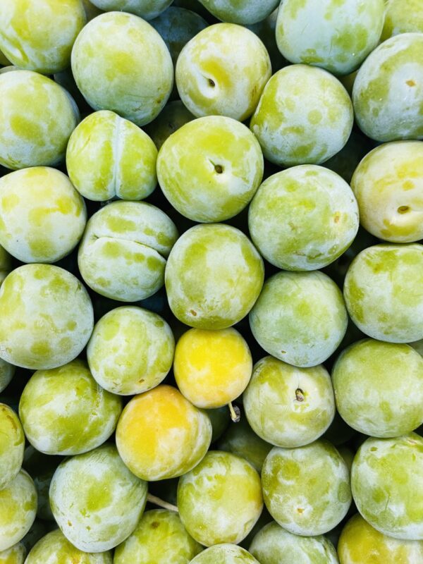 Greengage