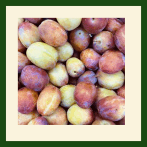 Fresh English Victoria Plums sweet juicy seasonal British fruit