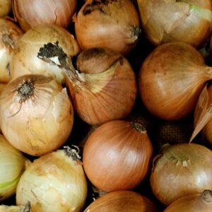 Pickling Onions