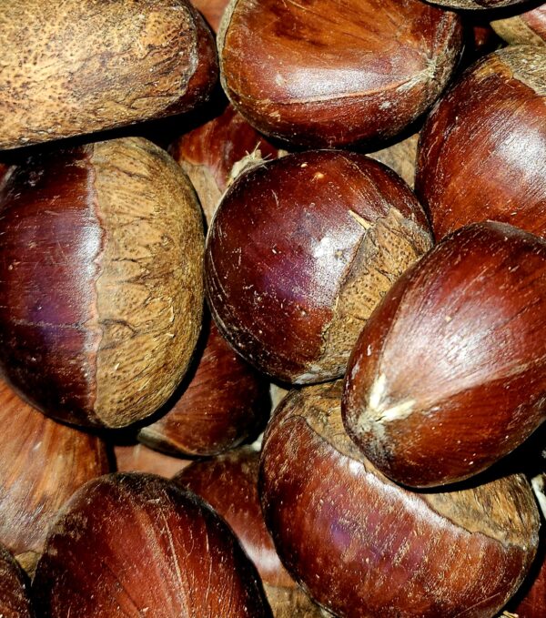 Chestnuts