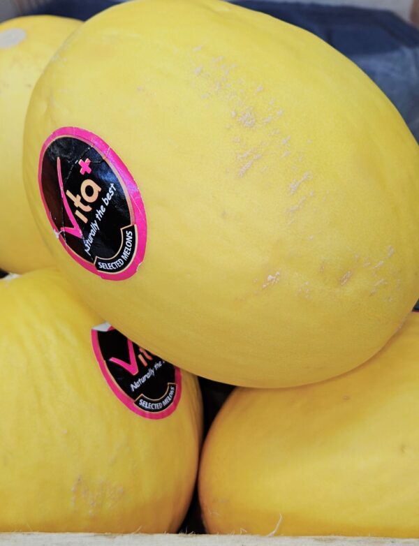 Honeydew melon