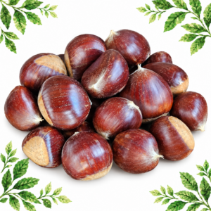 A pile of reddish-brown chestnuts with pale bases on a white background with green leafy corners.