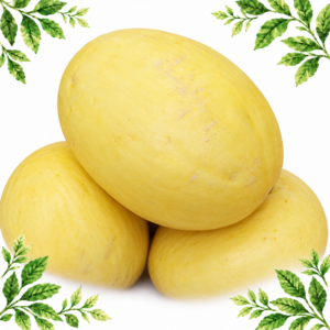 Three pale-yellow honeydew melons on a white background with green leafy corners