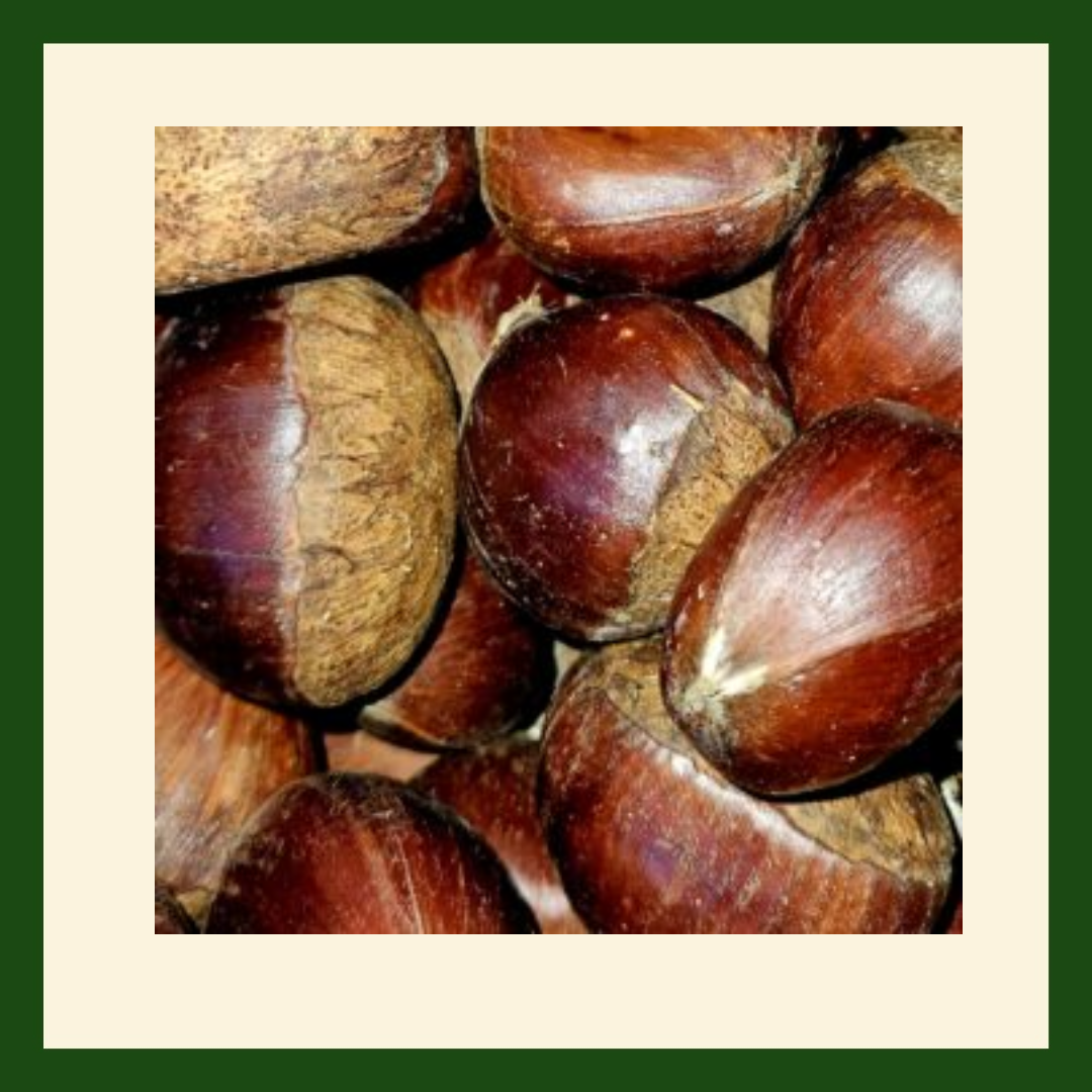 Fresh chestnuts for roasting from The Fruit Bowl