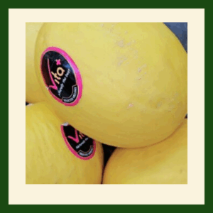 Honeydew Melon