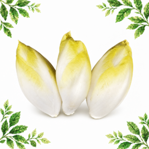 Three white chicory heads with pale-yellow tips on a white background with green leafy corners.