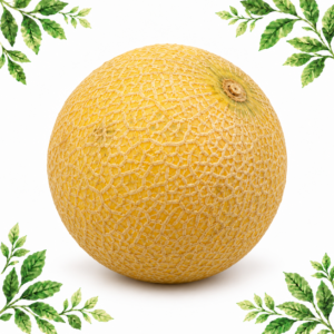 A whole golden Galia melon with a netted rind on a white background with green leafy corners.