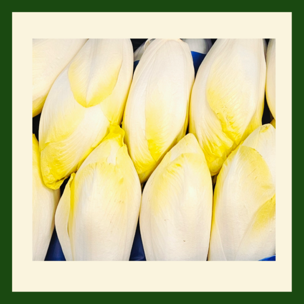 Chicory - Image 2