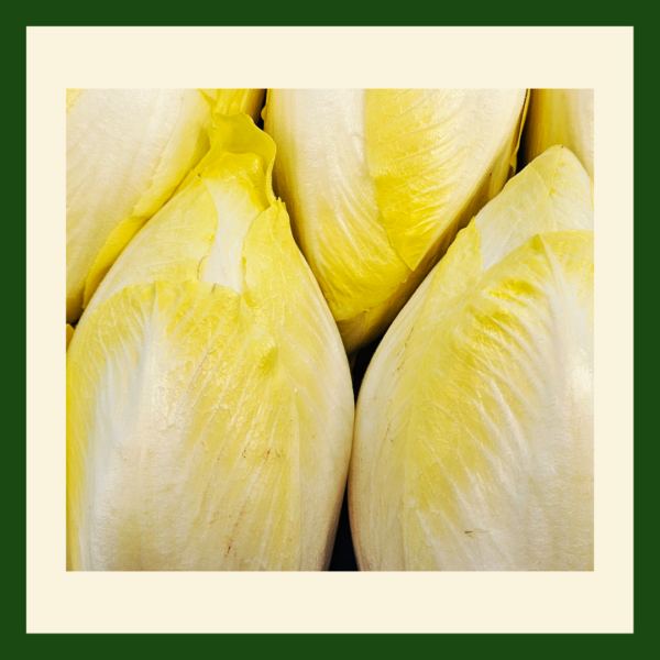 Chicory