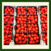 Fresh Sweet & Juicy Strawberries - Image 2