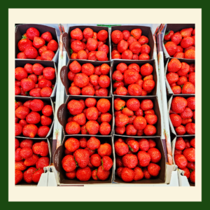 Premium Hoogstraten strawberries in fresh fruit punnets