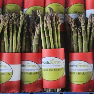 Fresh Kent Asparagus grown in Kent, England