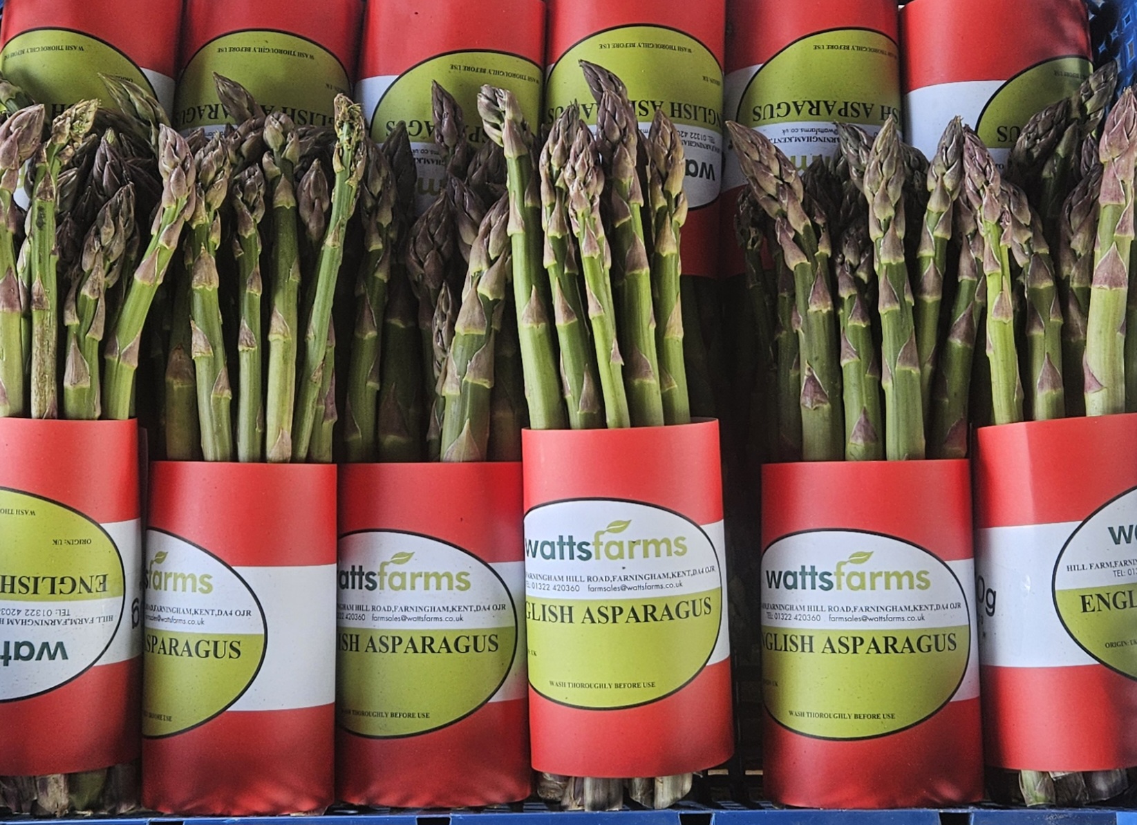 Fresh Kent Asparagus grown in Kent, England