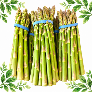Bunches of green asparagus tied with blue bands on a white background with green leafy corners.