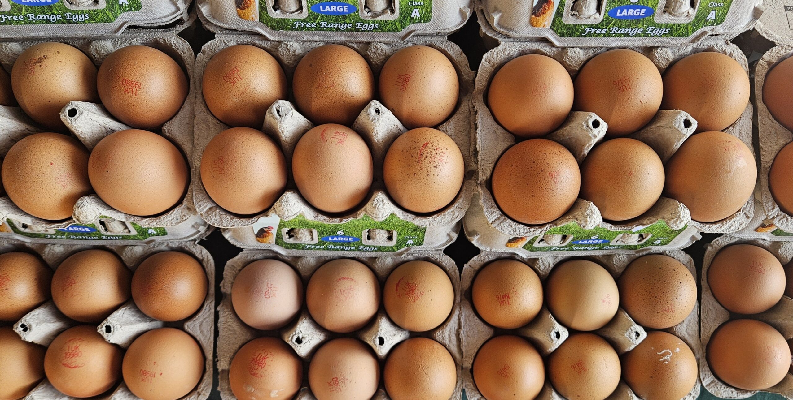 Fresh free range eggs from The Fruit Bowl Brighton