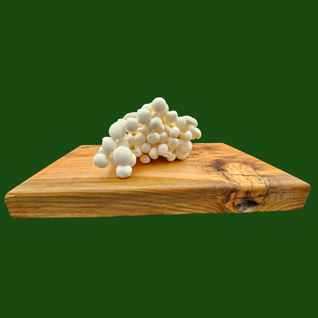 Fresh White Shimeji Mushrooms cluster on wooden board